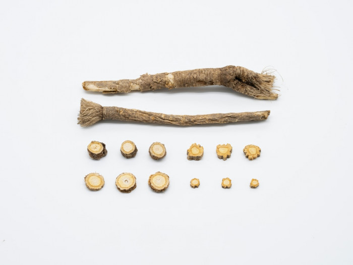 7. Sınıf İngilizce 2. Dönem 1 Yazılı Soruları